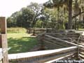 Guy Fanguy - Artist - Photographer - Guy Fanguy - Campgrounds - Louisiana -  Evangeline State Park (105).jpg Size: 74713 - 8